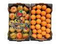 Kiste Gemischt 13,6 kg (8,6 kg Tomaten + 5 kg Orangen)