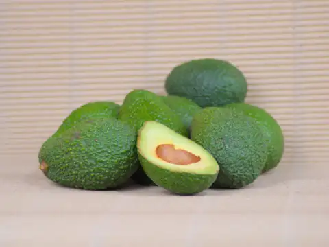 Avocados Hass