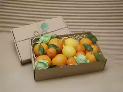 Schachtel Bio Dosser