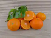 BIO-MANDARINEN kaufen