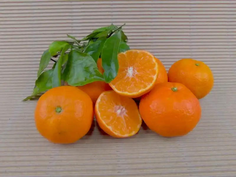 Kiste Bio-Mandarinen 5 kg