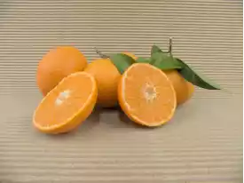 MANDARINEN kaufen