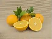 ORANGEN kaufen