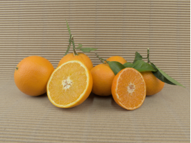 GEMISCHTE KISTEN kaufen image