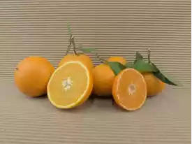 GEMISCHTE KISTEN kaufen