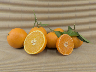 Kiste Gemischt 15 kg (10 kg Bio-Orangen + 5 kg Bio-Mandarinen)