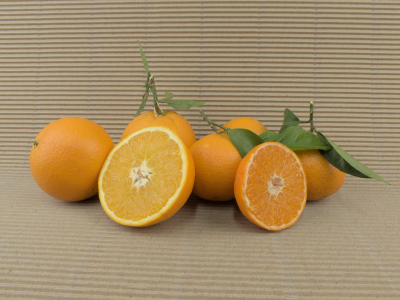Kiste Gemischt 20 kg (15 kg Bio-Orangen + 5 kg Bio-Mandarinen)