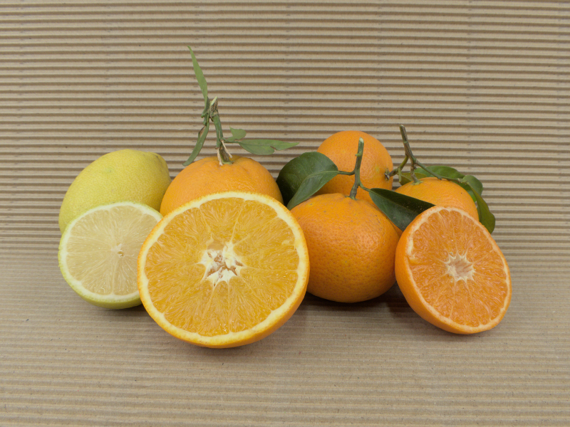 Kaufen Orangen 5 kg. Mandarinen 3 kg. Zitronen 2 kg. (insgesamt 10