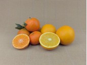 Mandarinen &Amp; Orangen