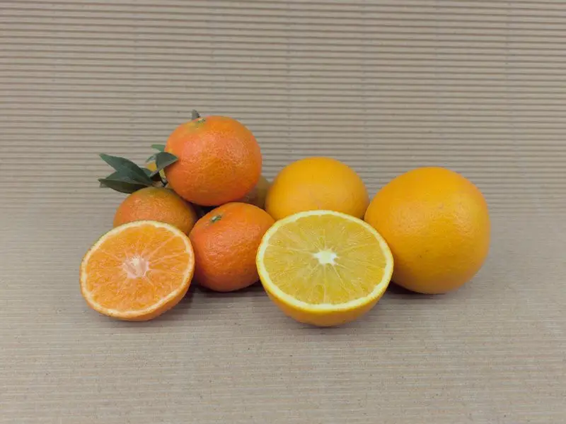 Kiste Gemischt 15 kg (5 kg Orangen + 10 kg Mandarinen)