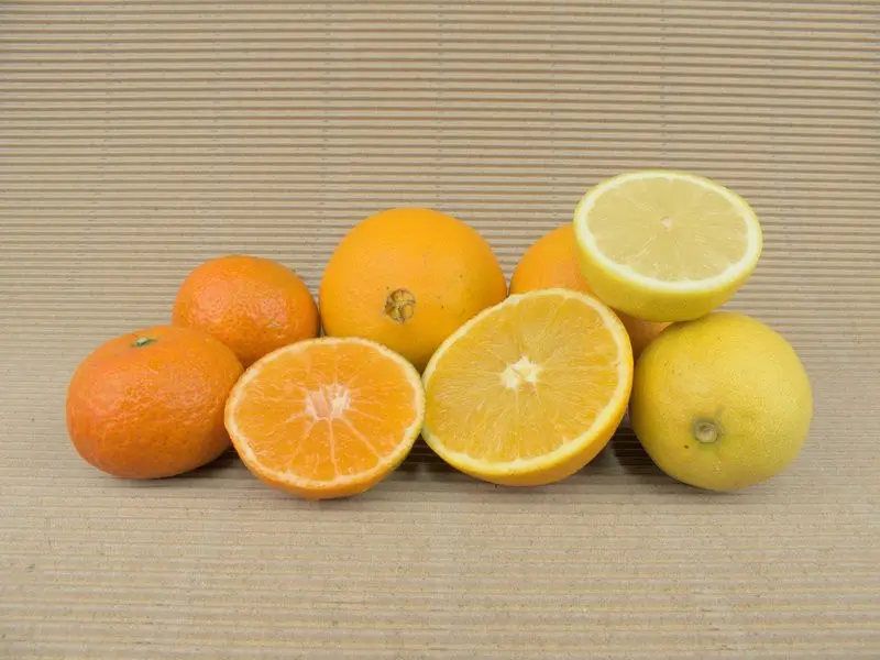 Kiste Gemischt 20 kg (10 kg Bio-Orangen + 8 kg Bio-Mandarinen + 2 kg Bio-Zitronen)