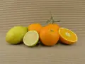Kiste Gemischt 20 kg (16 kg Bio-Orangen + 4 kg Bio-Zitronen)