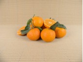 MANDARINEN kaufen