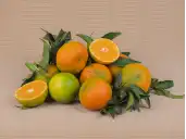MANDARINEN kaufen