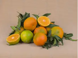 MANDARINEN kaufen