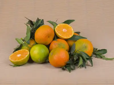 Kiste Mandarinen 5 kg
