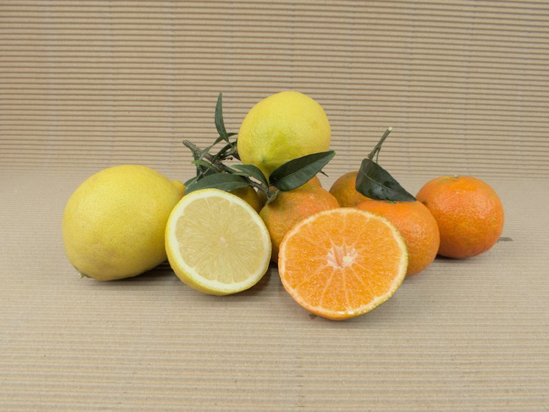 Kiste Gemischt 20 kg (10 kg Zitronen + 10 kg Mandarinen) | Billiger Frische