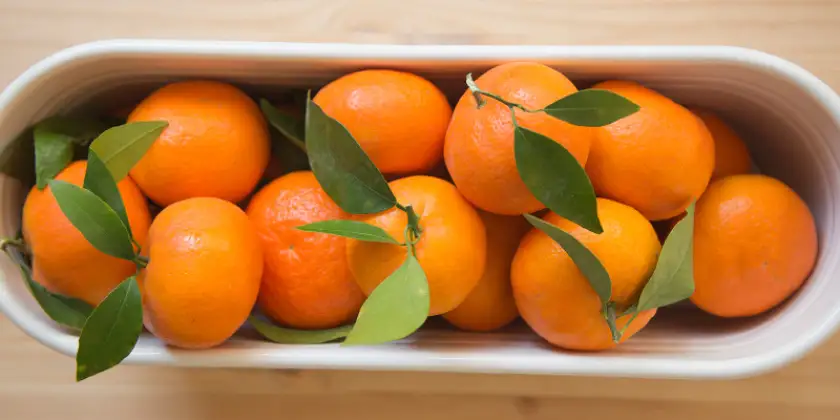Mandarinen Orri