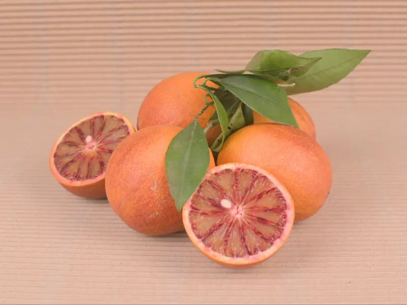 Kiste Gemischt 20 kg (10 kg Bio-Orangen + 10 kg Bio-Sanguinelli)