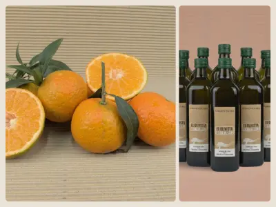 Kiste Gemischt 20 kg (19 kg Bio-Mandarinen + 1 Liter Bio-Öl)
