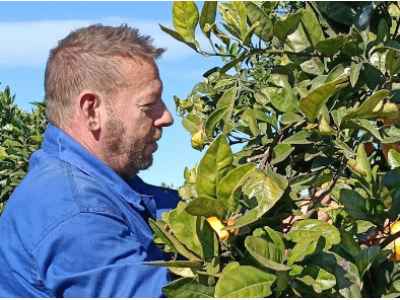 Fran Nicolás: Pflücker