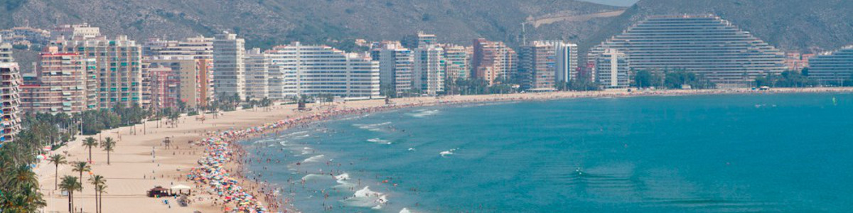 LA BAHÍA DE LOS NARANJOS (DIE ORANGENBUCHT)