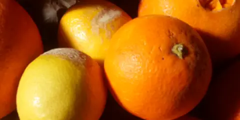 HÄSSLICHE ORANGEN