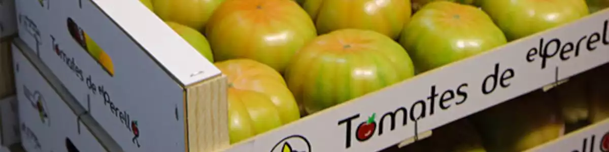 Die Tomaten von El Perelló: vom Sand unserer Kindheit auf Ihren Tisch