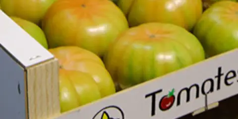 Die Tomaten von El Perelló: vom Sand unserer Kindheit auf Ihren Tisch