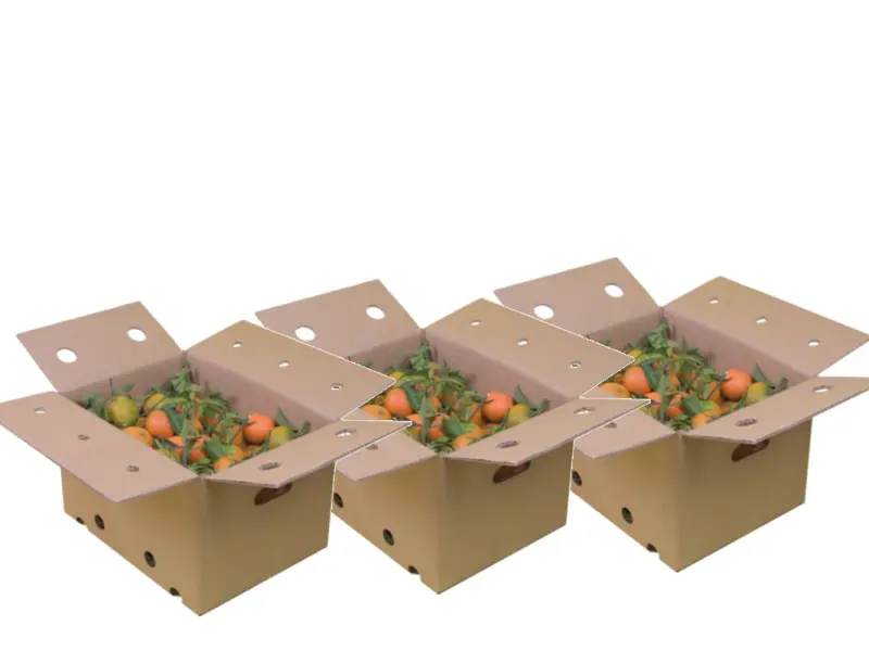 Kiste Gemischt 13,6 kg (8,6 kg Tomaten + 5 kg Orangen)