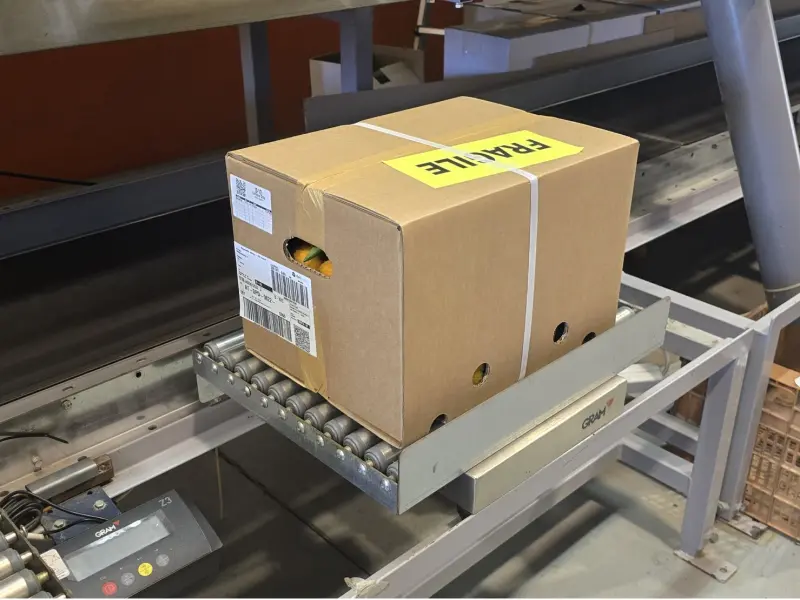 Kiste Gemischt 10 kg (8 kg Bio-Orangen + 2 kg Bio-Zitronen)