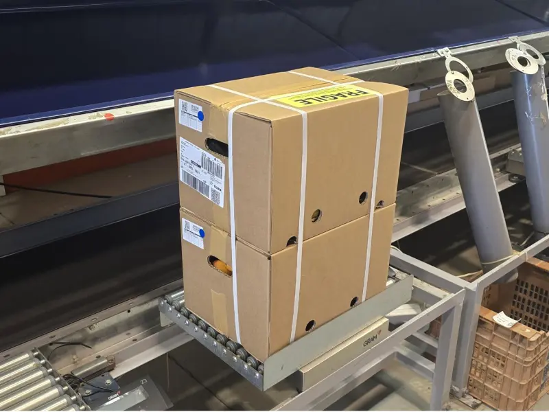 Kiste Gemischt 20 kg (16 kg Bio-Orangen + 4 kg Bio-Zitronen)