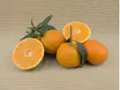 MANDARINEN kaufen