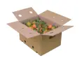 Kiste Gemischt 10.1 kg (10 kg Bio-Orangen + 100 g getrocknete Bio-Zitrusfrüchte)