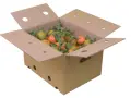Kiste Mandarinen 15 kg