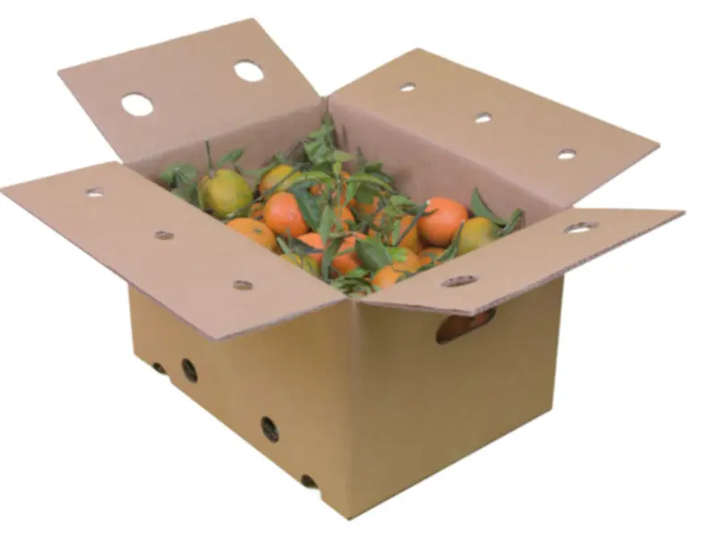Kiste Mandarinen 15 kg