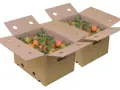 Kiste Gemischt 20 kg (19 kg Orangen + 1 Liter Öl)