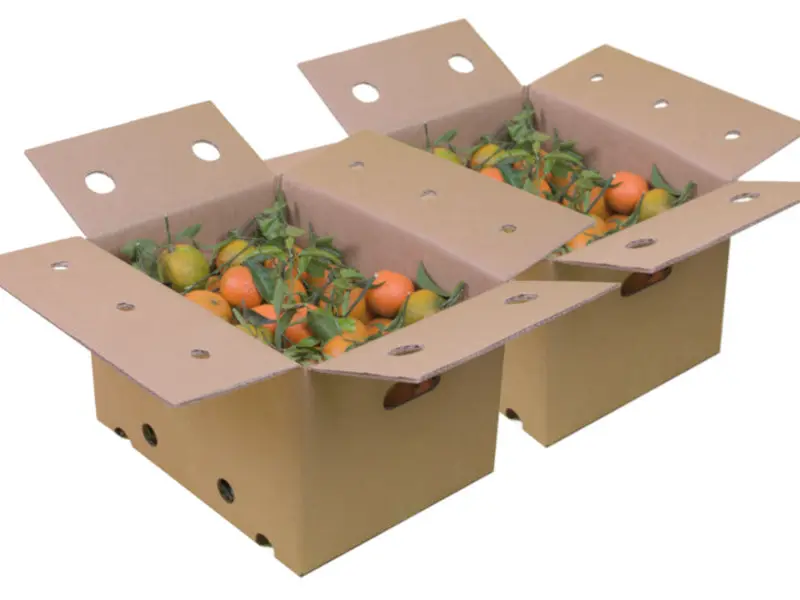 Kiste Gemischt 20 kg (19 kg Orangen + 1 Liter Öl)