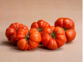 TOMATEN kaufen