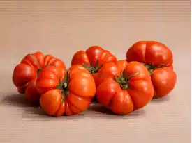 TOMATEN kaufen