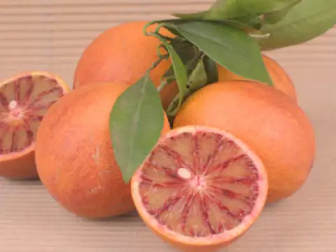 Blutorangen Sanguinelli